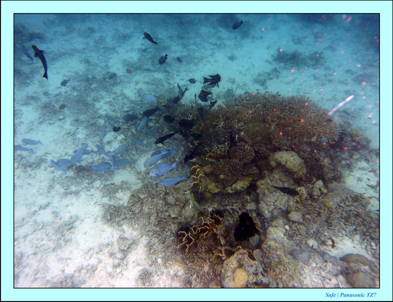 2009   07   Matakin 29